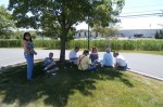 Picnic under the tree